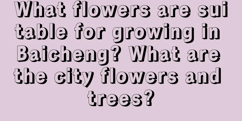 What flowers are suitable for growing in Baicheng? What are the city flowers and trees?