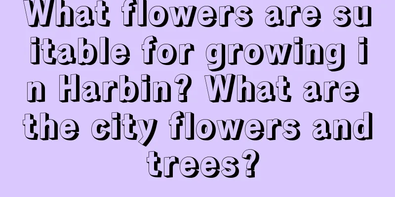 What flowers are suitable for growing in Harbin? What are the city flowers and trees?