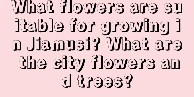 What flowers are suitable for growing in Jiamusi? What are the city flowers and trees?