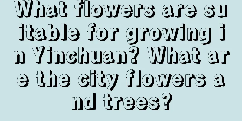 What flowers are suitable for growing in Yinchuan? What are the city flowers and trees?