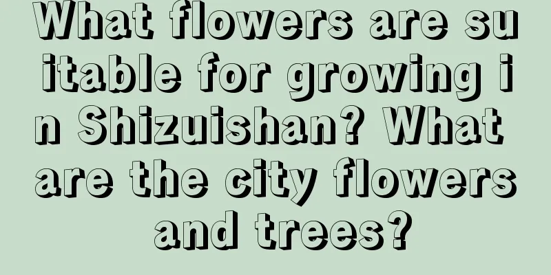 What flowers are suitable for growing in Shizuishan? What are the city flowers and trees?