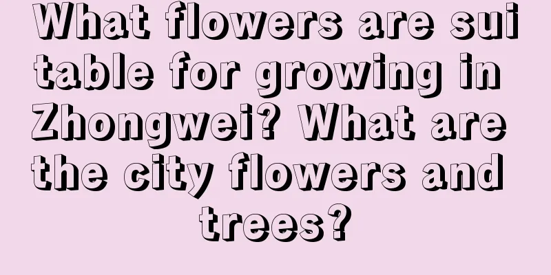 What flowers are suitable for growing in Zhongwei? What are the city flowers and trees?