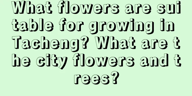 What flowers are suitable for growing in Tacheng? What are the city flowers and trees?