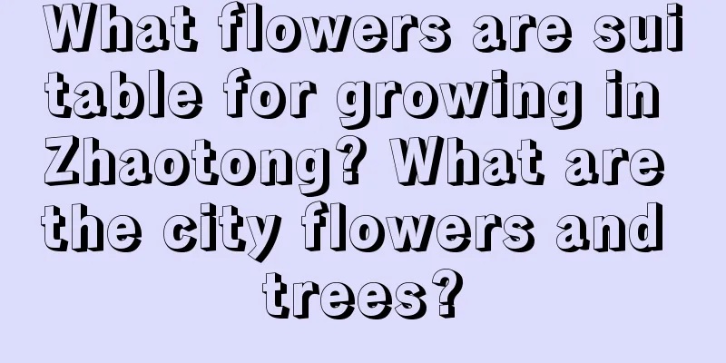 What flowers are suitable for growing in Zhaotong? What are the city flowers and trees?