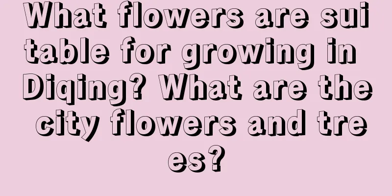 What flowers are suitable for growing in Diqing? What are the city flowers and trees?