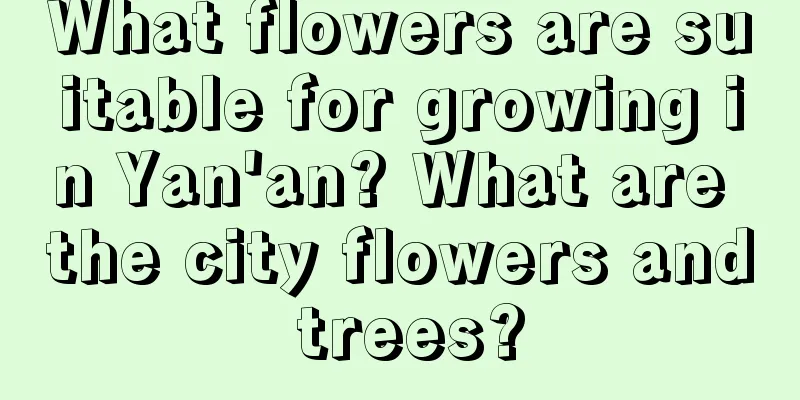 What flowers are suitable for growing in Yan'an? What are the city flowers and trees?