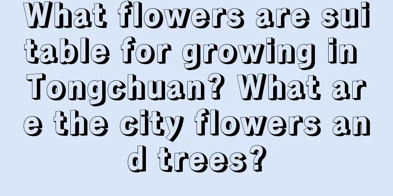 What flowers are suitable for growing in Tongchuan? What are the city flowers and trees?