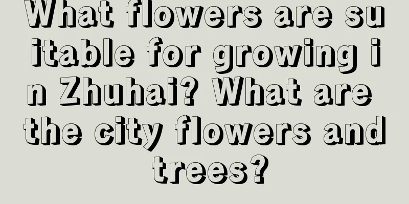 What flowers are suitable for growing in Zhuhai? What are the city flowers and trees?