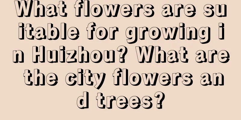 What flowers are suitable for growing in Huizhou? What are the city flowers and trees?