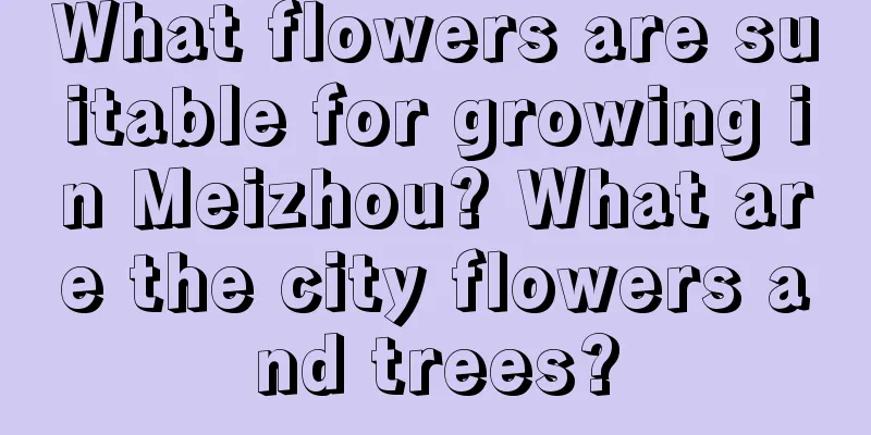 What flowers are suitable for growing in Meizhou? What are the city flowers and trees?