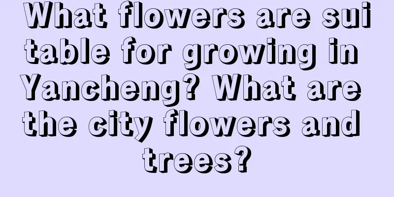 What flowers are suitable for growing in Yancheng? What are the city flowers and trees?