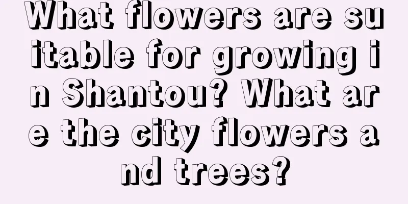 What flowers are suitable for growing in Shantou? What are the city flowers and trees?