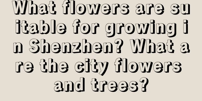 What flowers are suitable for growing in Shenzhen? What are the city flowers and trees?