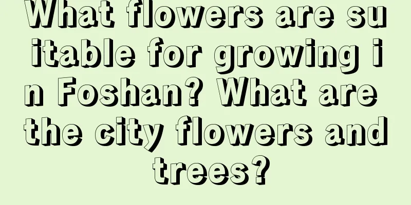 What flowers are suitable for growing in Foshan? What are the city flowers and trees?