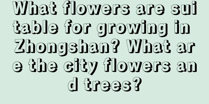 What flowers are suitable for growing in Zhongshan? What are the city flowers and trees?