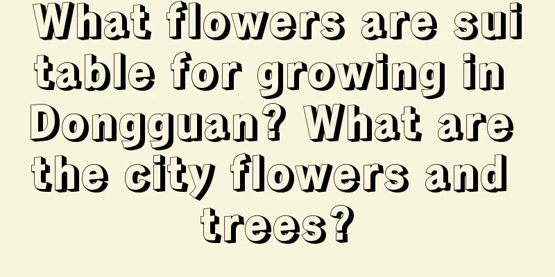 What flowers are suitable for growing in Dongguan? What are the city flowers and trees?