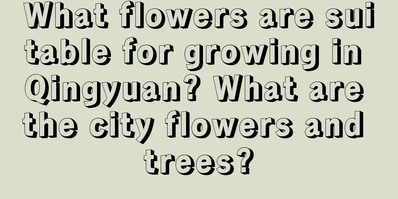 What flowers are suitable for growing in Qingyuan? What are the city flowers and trees?