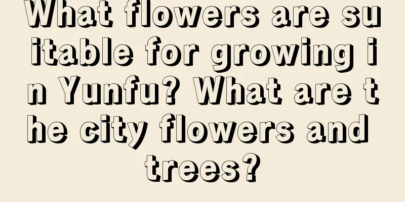 What flowers are suitable for growing in Yunfu? What are the city flowers and trees?