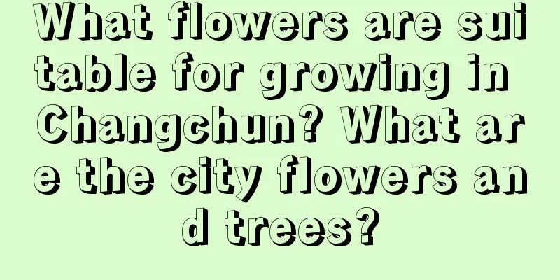 What flowers are suitable for growing in Changchun? What are the city flowers and trees?