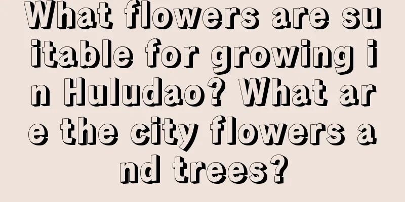 What flowers are suitable for growing in Huludao? What are the city flowers and trees?