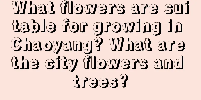 What flowers are suitable for growing in Chaoyang? What are the city flowers and trees?