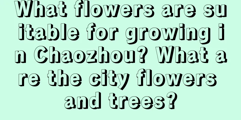 What flowers are suitable for growing in Chaozhou? What are the city flowers and trees?