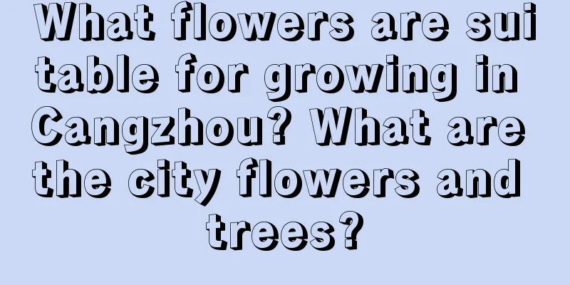 What flowers are suitable for growing in Cangzhou? What are the city flowers and trees?