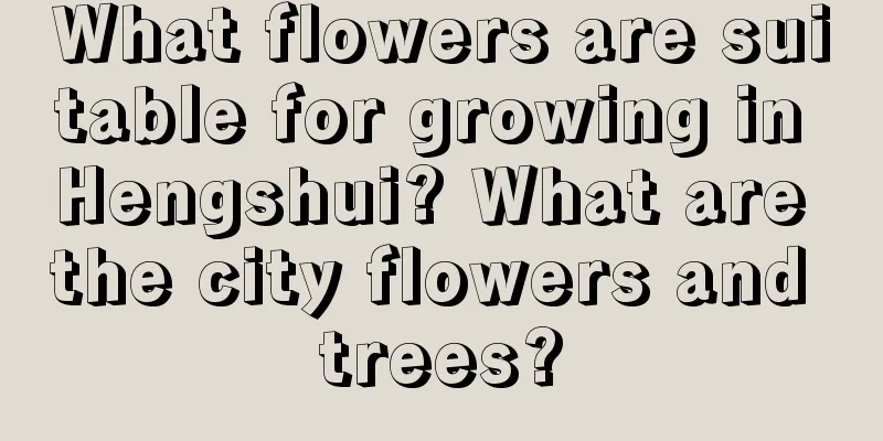 What flowers are suitable for growing in Hengshui? What are the city flowers and trees?