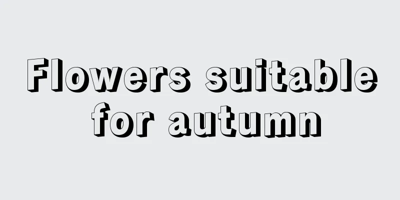 Flowers suitable for autumn