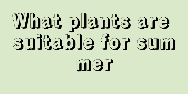 What plants are suitable for summer