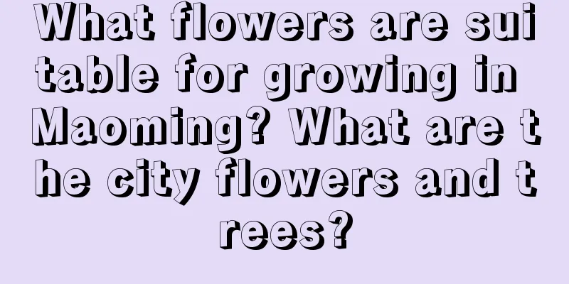 What flowers are suitable for growing in Maoming? What are the city flowers and trees?