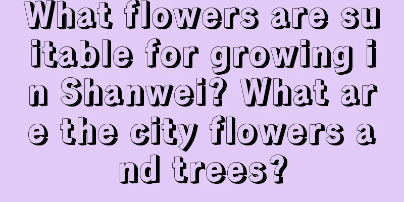 What flowers are suitable for growing in Shanwei? What are the city flowers and trees?