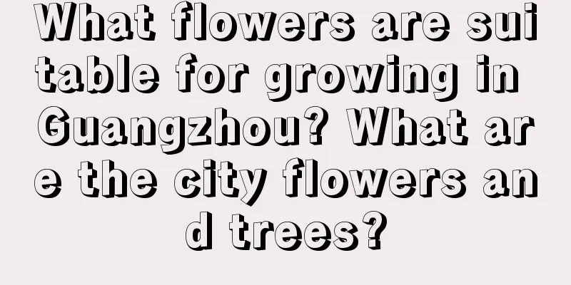 What flowers are suitable for growing in Guangzhou? What are the city flowers and trees?