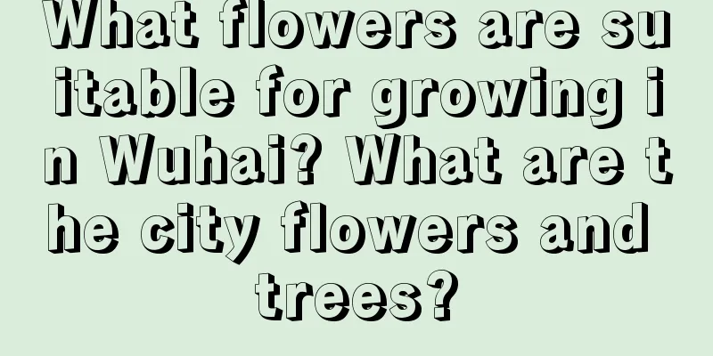 What flowers are suitable for growing in Wuhai? What are the city flowers and trees?