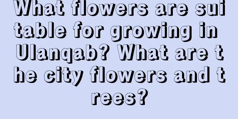 What flowers are suitable for growing in Ulanqab? What are the city flowers and trees?