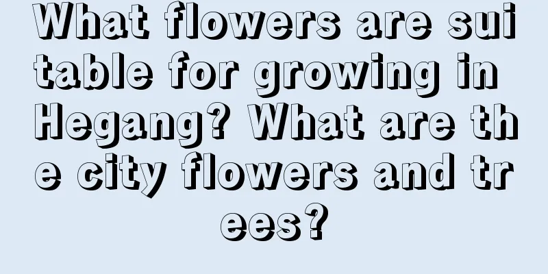 What flowers are suitable for growing in Hegang? What are the city flowers and trees?