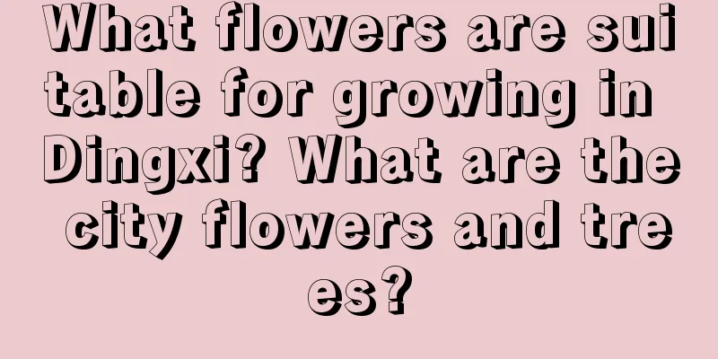 What flowers are suitable for growing in Dingxi? What are the city flowers and trees?