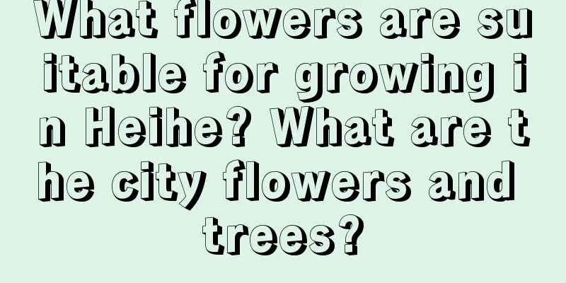 What flowers are suitable for growing in Heihe? What are the city flowers and trees?