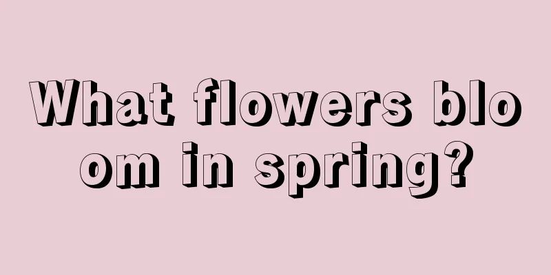 What flowers bloom in spring?