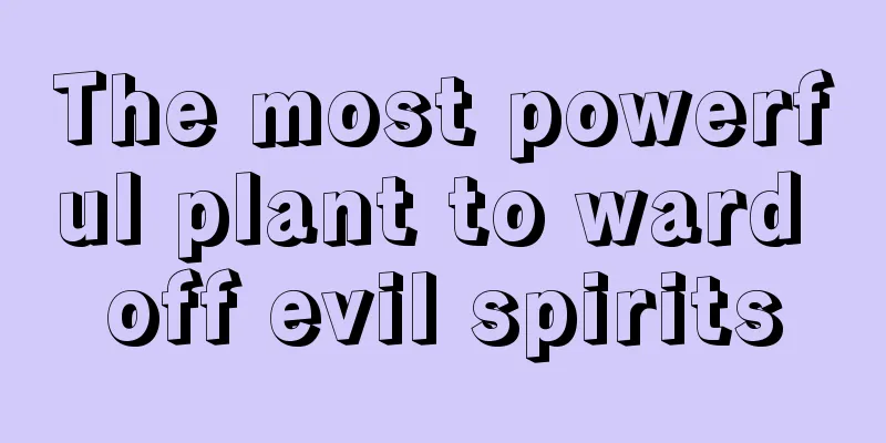 The most powerful plant to ward off evil spirits