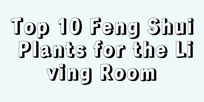 Top 10 Feng Shui Plants for the Living Room