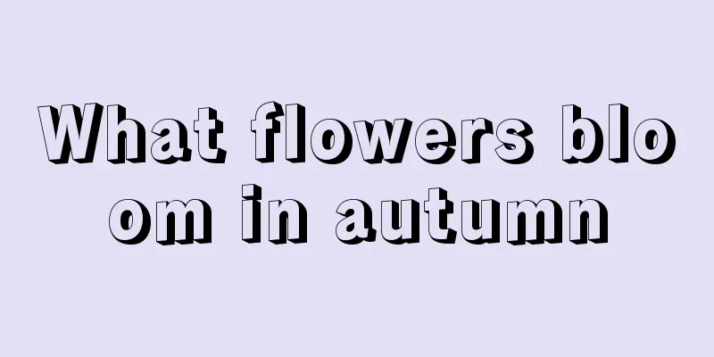 What flowers bloom in autumn