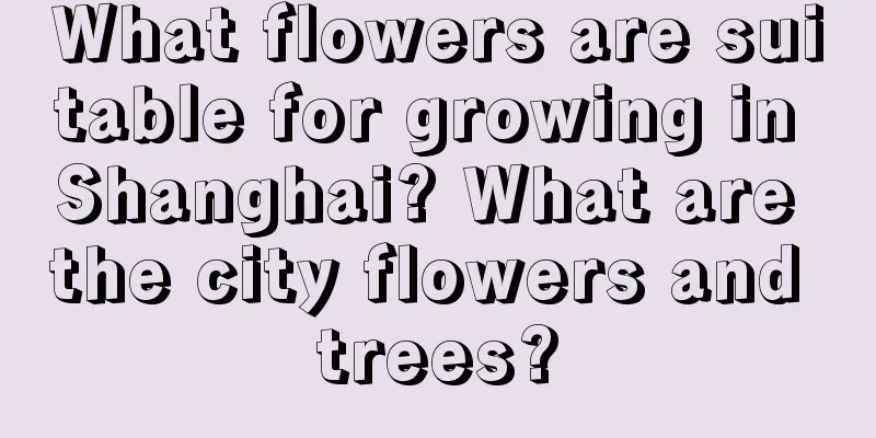 What flowers are suitable for growing in Shanghai? What are the city flowers and trees?