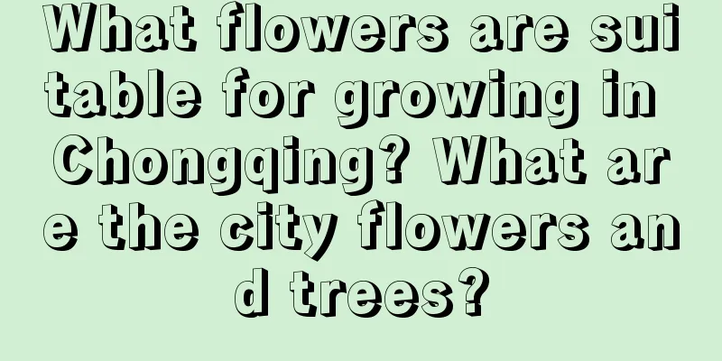 What flowers are suitable for growing in Chongqing? What are the city flowers and trees?