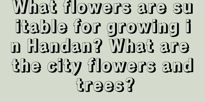 What flowers are suitable for growing in Handan? What are the city flowers and trees?