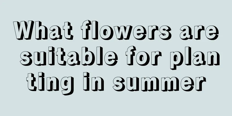 What flowers are suitable for planting in summer