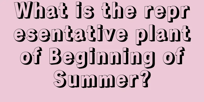 What is the representative plant of Beginning of Summer?