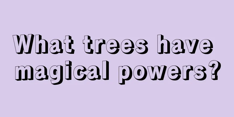 What trees have magical powers?