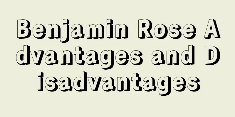 Benjamin Rose Advantages and Disadvantages