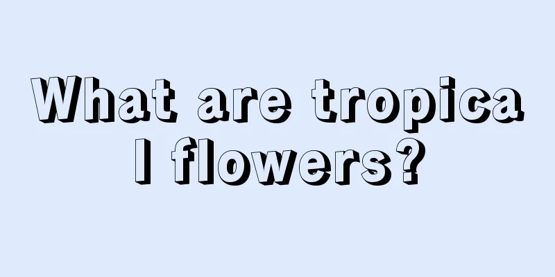 What are tropical flowers?